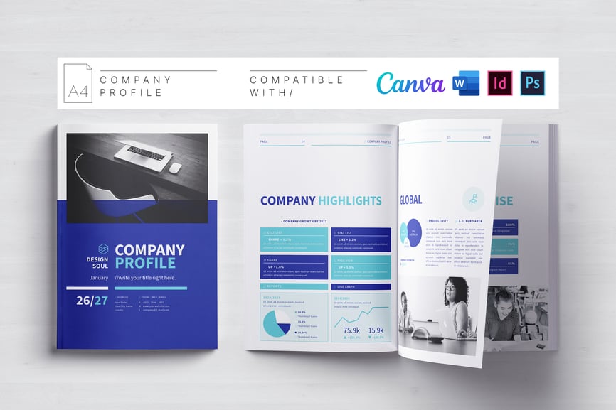 公司简介 (INDD,PSD,DOCX,PDF)