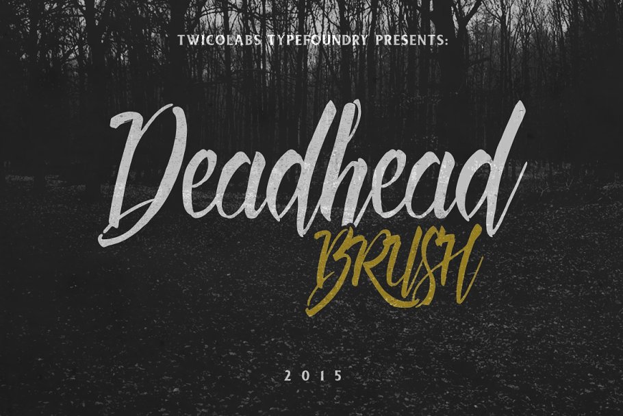 流畅的手写字体 Deadhead Brush