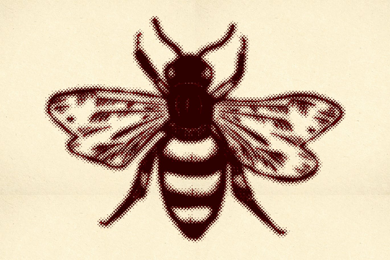 c849b072-8545-409c-b3af-f7fa08eec110